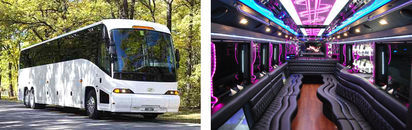 50 passenger party bus rentals
